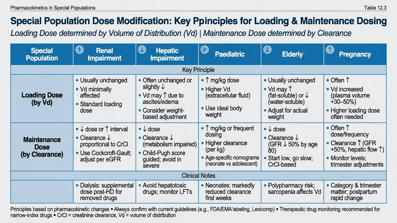 Special population dose modification table loading by Vd maintenance by clearance