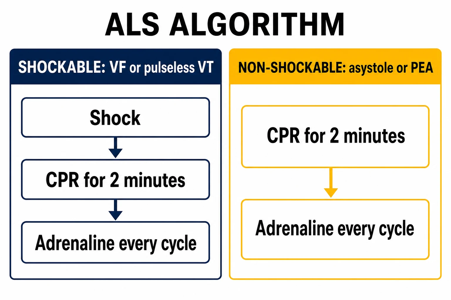 The advanced life support algorithm: the shockable and non-shockable loops