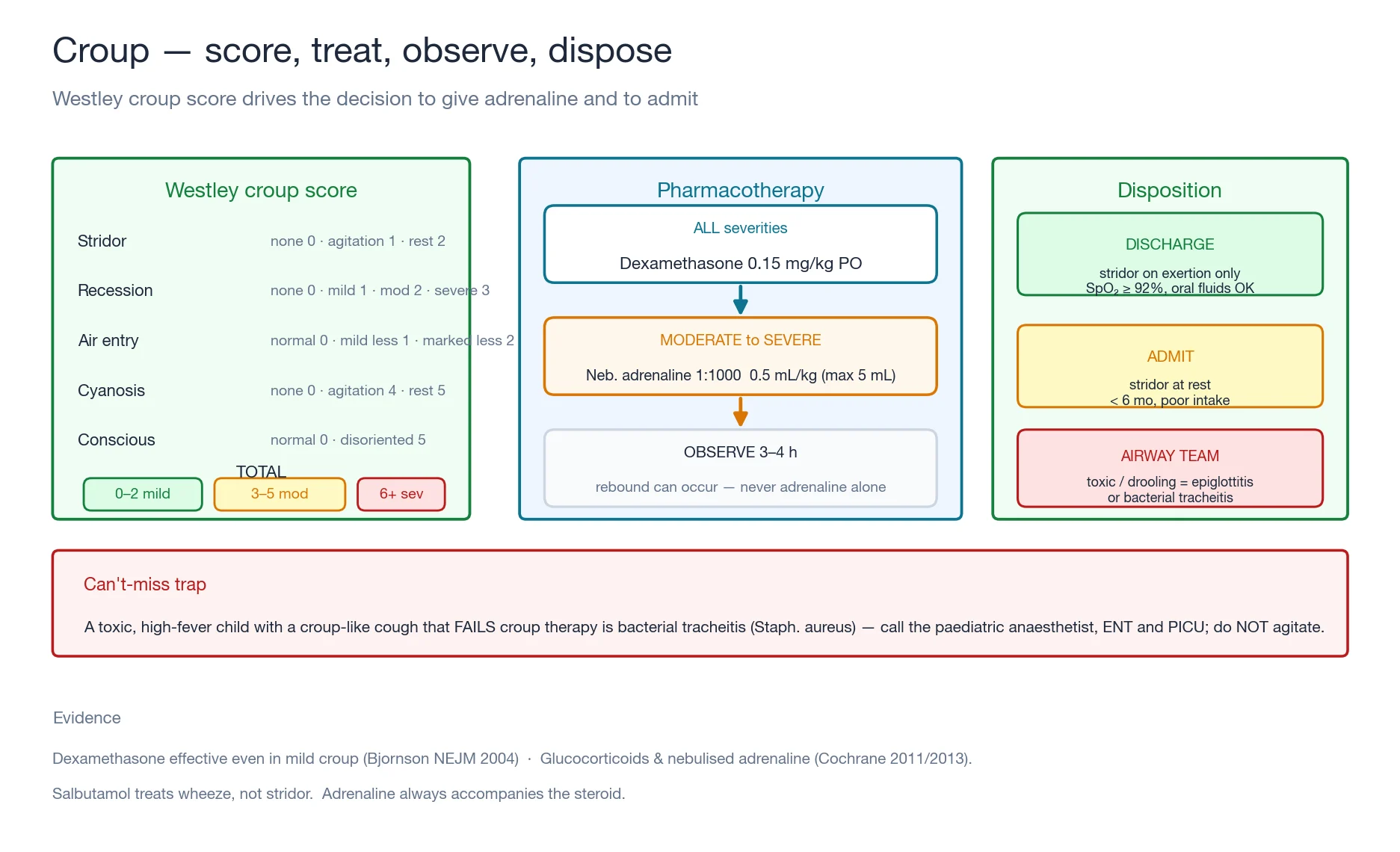 The croup management algorithm: Westley croup score bands, dexamethasone for all severities, nebulised adrenaline for moderate to severe, observe three to four hours, and disposition