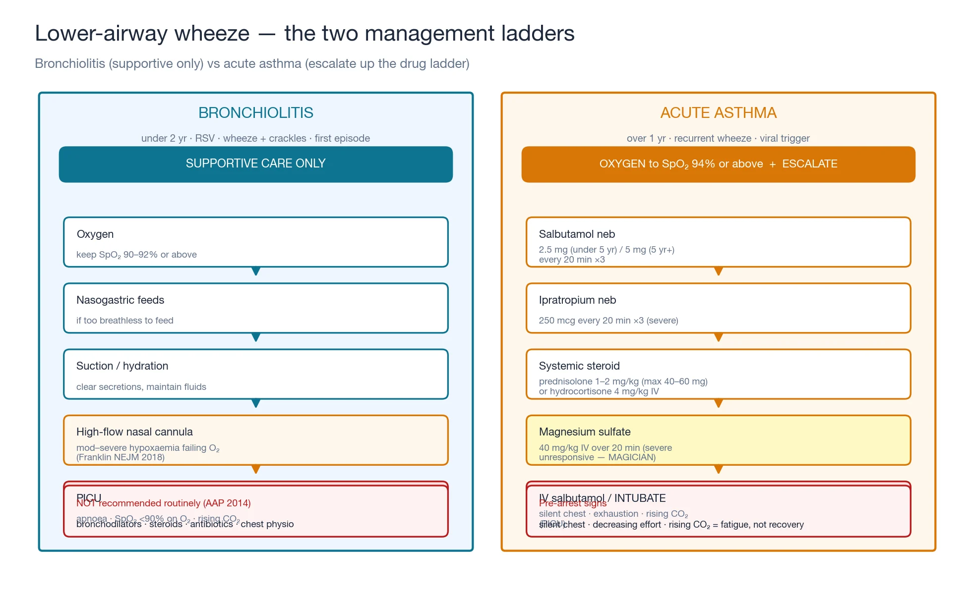 Two management ladders side by side: bronchiolitis supportive care escalating to high-flow and PICU, and acute asthma escalating salbutamol, ipratropium, steroid, magnesium sulfate and intubation, with doses