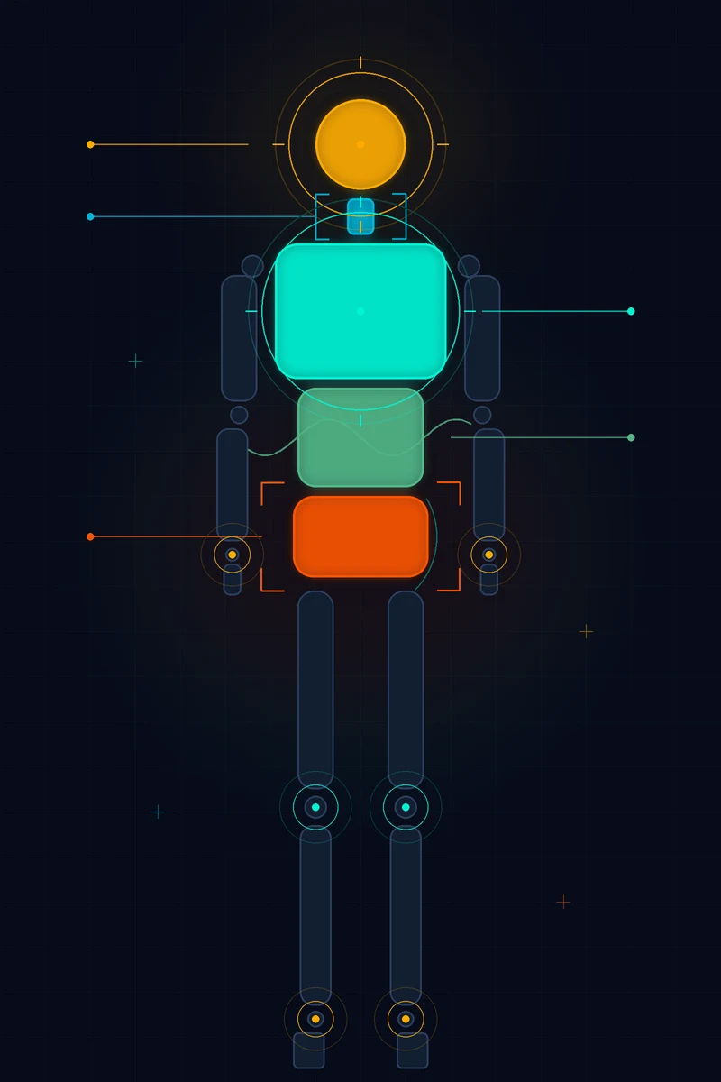 A stylised human body outline with body regions highlighted in different colours representing the head-to-toe secondary survey examination