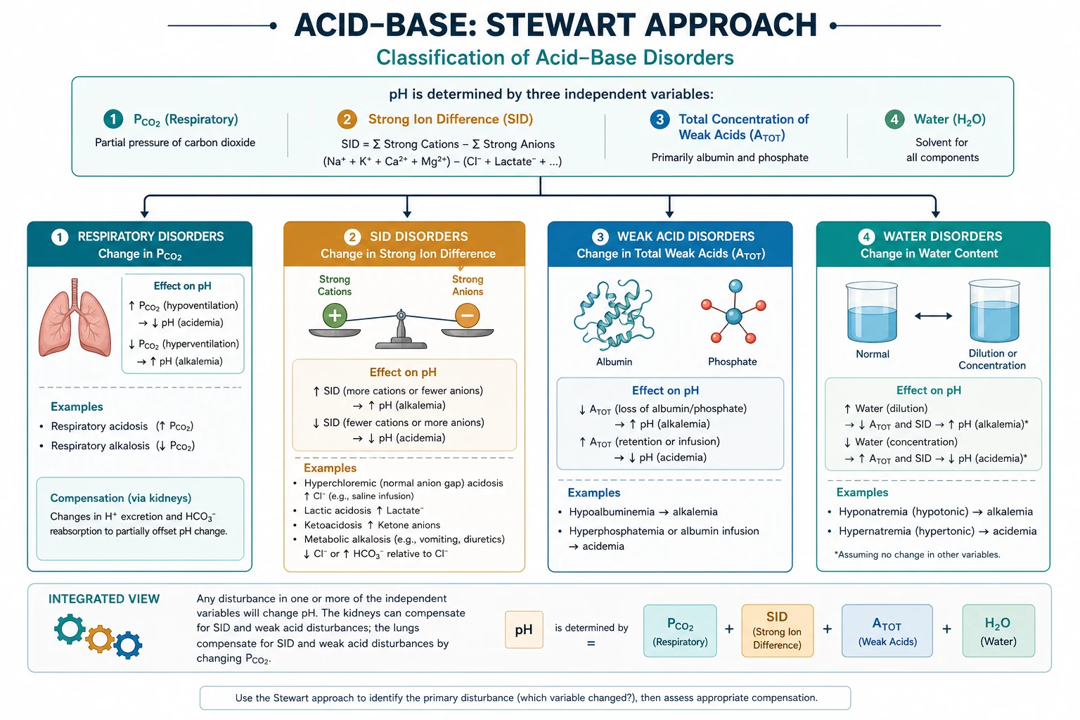 Classification of acid-base disorders in Stewart terms