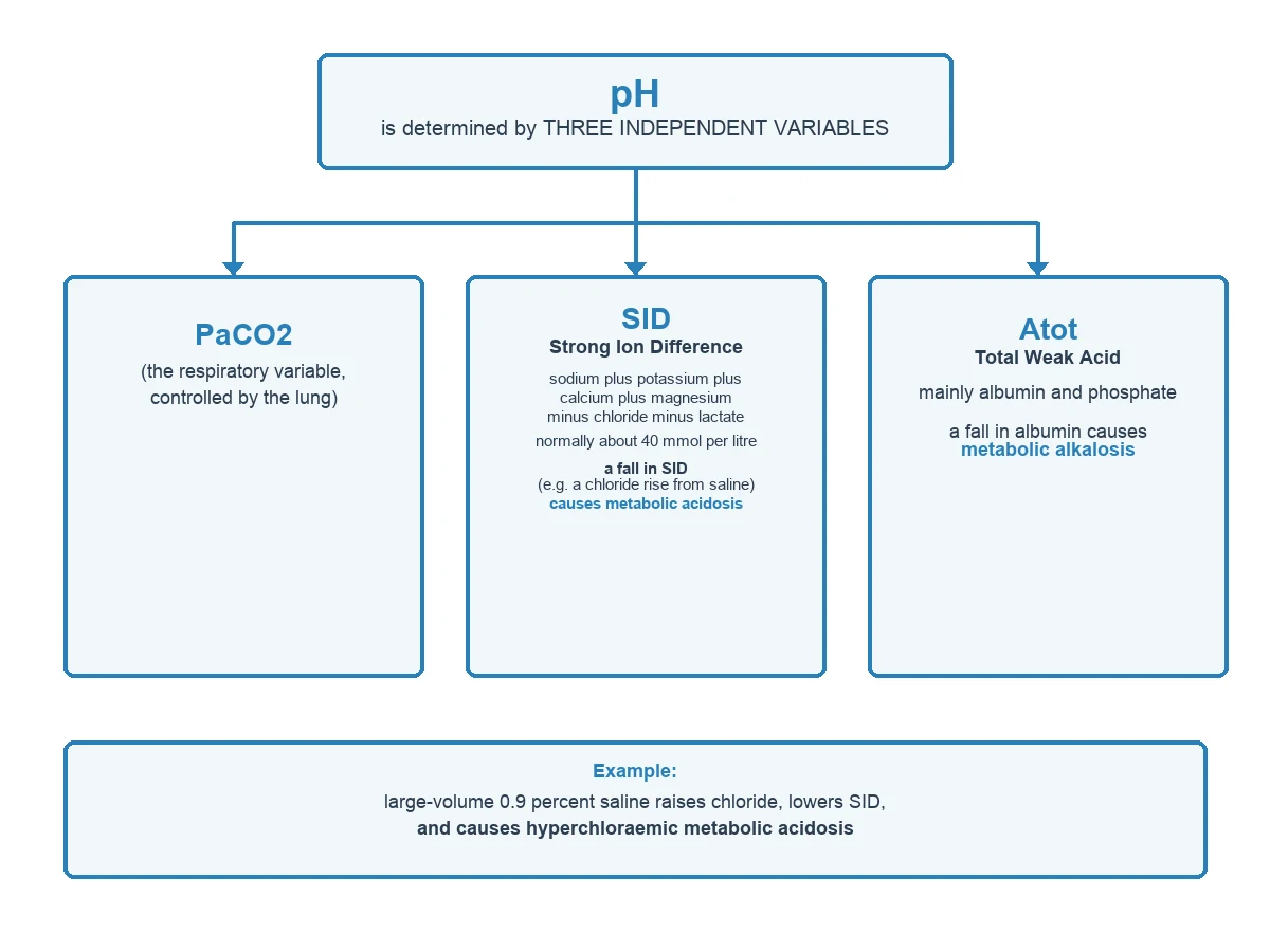 Diagram of PaCO2, SID and Atot determining dependent pH and bicarbonate