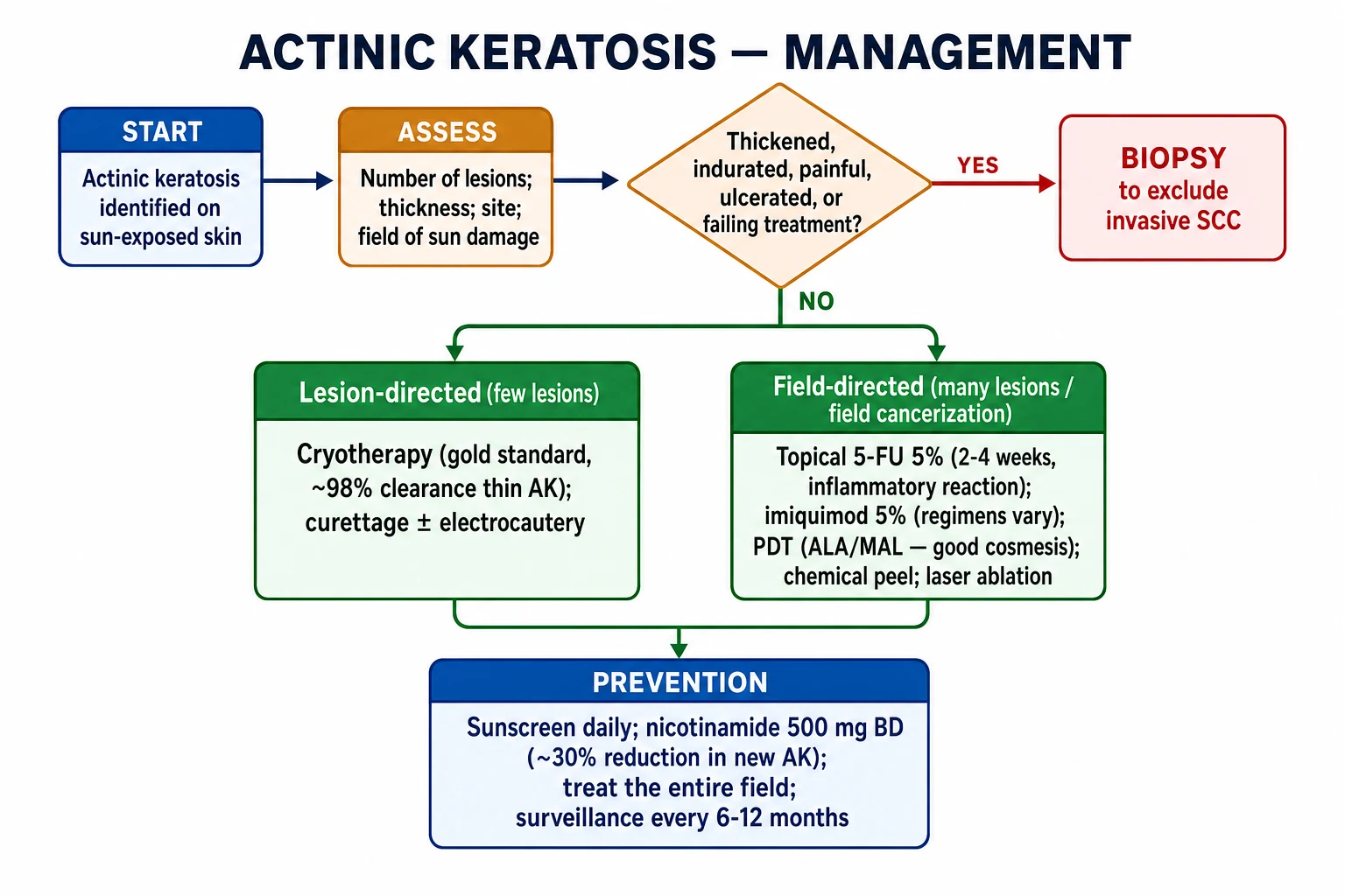 Flowchart for actinic keratosis management: assess number and thickness of lesions, choose lesion-directed cryotherapy or curettage for few thin lesions, choose field-directed 5-FU, imiquimod, or PDT for multiple lesions, and biopsy if thickened or treatment failure