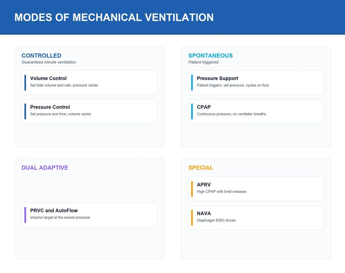 Weaning and liberation pathway: readiness screen, spontaneous breathing trial, extubation, high-risk post-extubation NIV or HFNO, tracheostomy for prolonged wean — management infographic