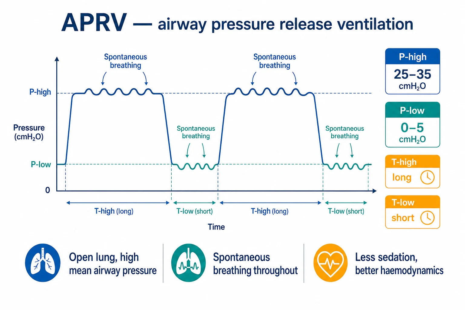 APRV waveform showing P-high, T-high, P-low, T-low and brief release phases with spontaneous breathing on the high pressure