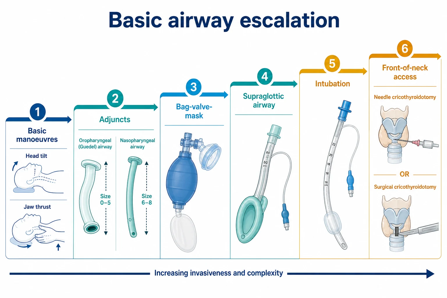 Educational escalation ladder from basic manoeuvres and adjuncts through bag-valve-mask and supraglottic airway to intubation and front-of-neck access