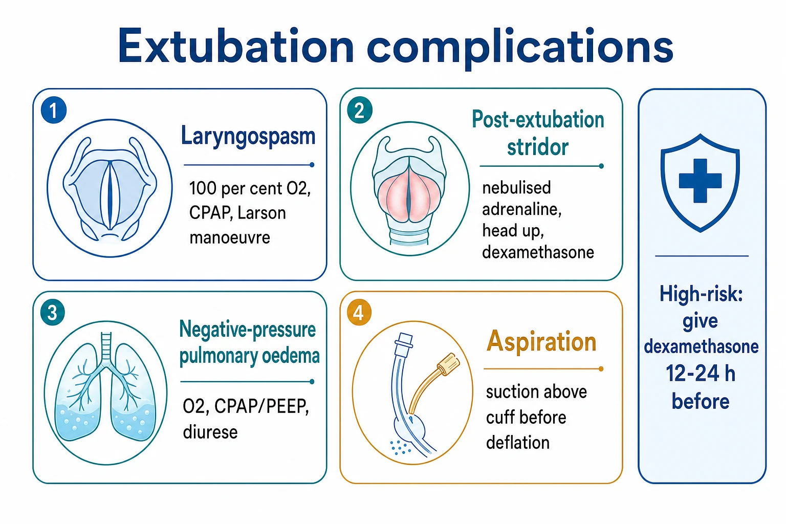 Four-box 2x2 grid infographic on a white clinical-blue background: Laryngospasm (closed cords) '100 per cent O2, CPAP, Larson manoeuvre'; Post-extubation stridor (swollen larynx) 'nebulised adrenaline, head up, dexamethasone'; Negative-pressure pulmonary oedema (lungs) 'O2, CPAP/PEEP, diurese'; Aspiration 'suction above cuff before deflation'; side banner 'High-risk: give dexamethasone 12-24 h before'. Flat vector illustration, crisp typography.