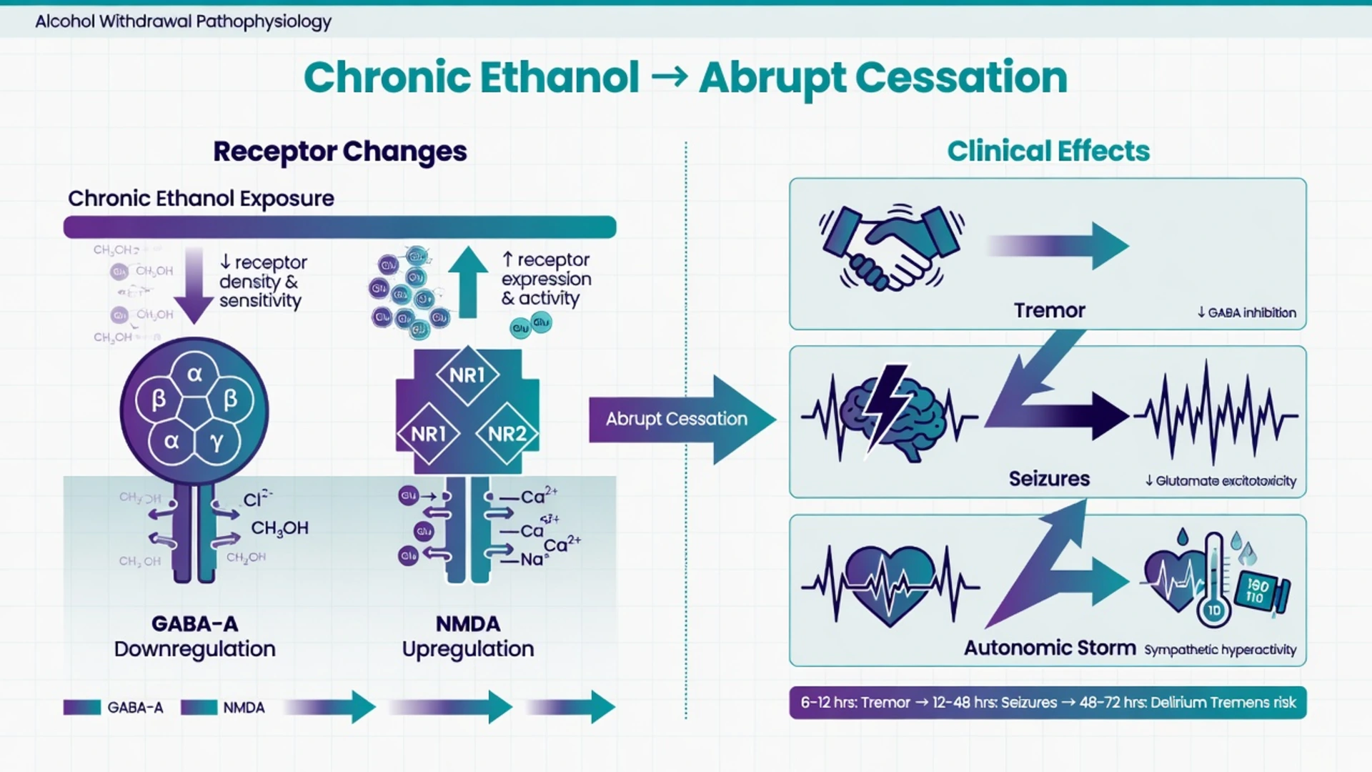 Educational management infographic for alcohol withdrawal: timeline of stages, CIWA-guided benzodiazepines, thiamine before glucose, phenobarbital for refractory delirium tremens, ICU escalation
