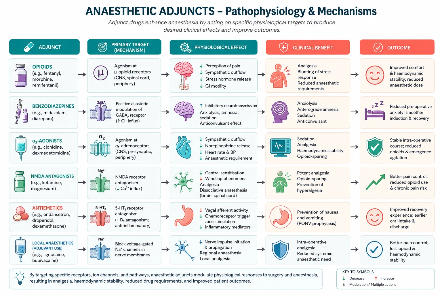 Mechanisms of major adjuncts