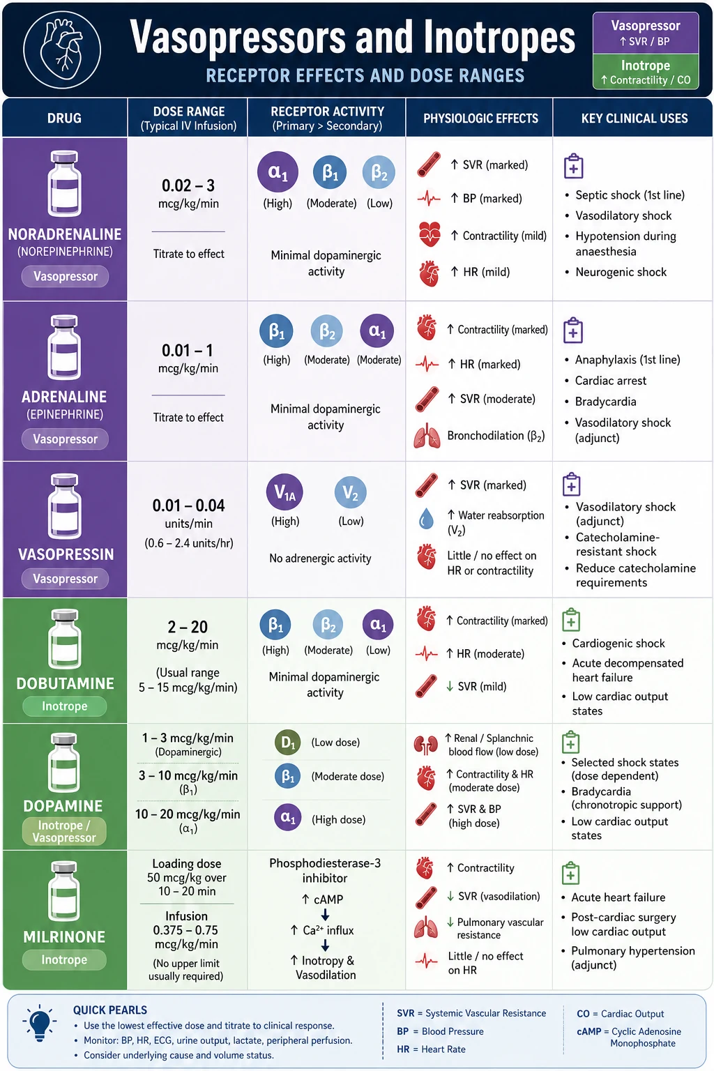 Vasopressor and inotrope receptor map
