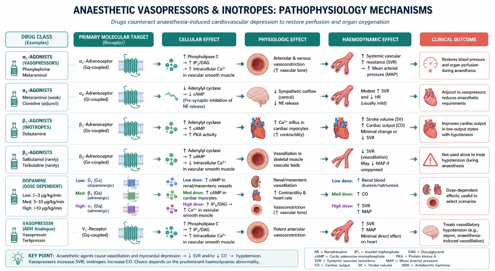 Shock phenotype and drug matching