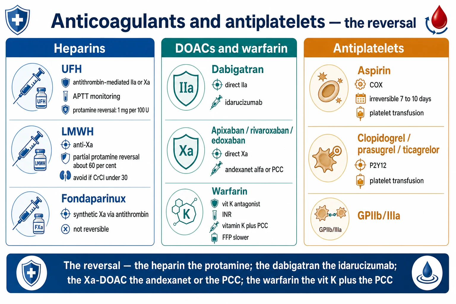 Cinematic ICU scene of anticoagulant reversal agents on the trolley — protamine sulfate, idarucizumab (Praxbind), prothrombin complex concentrate (PCC), and vitamin K — a cardiac monitor, an INR and coagulation chart on the screen, clinical-blue lighting