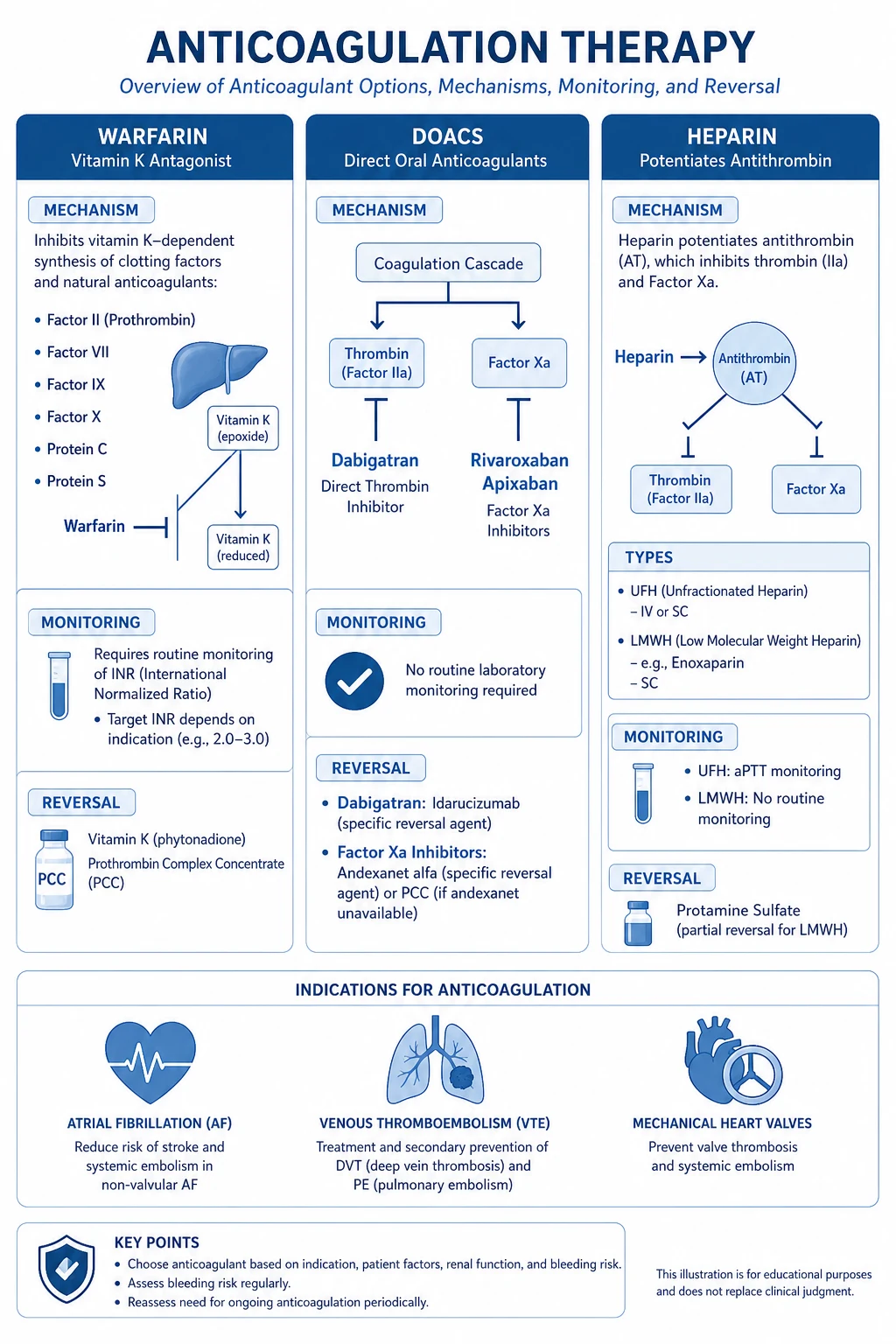 Coagulation cascade targets of warfarin DOAC heparin and their reversal agents