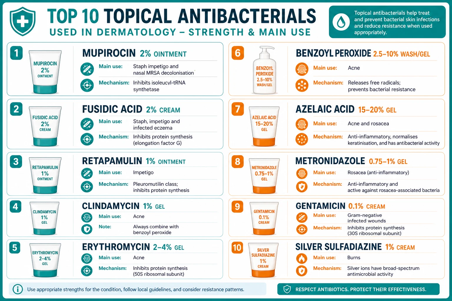 Topical antibacterials used in dermatology with spectrum and key indications: mupirocin, fusidic acid, retapamulin, clindamycin, erythromycin, benzoyl peroxide, azelaic acid, metronidazole, gentamicin, silver sulfadiazine