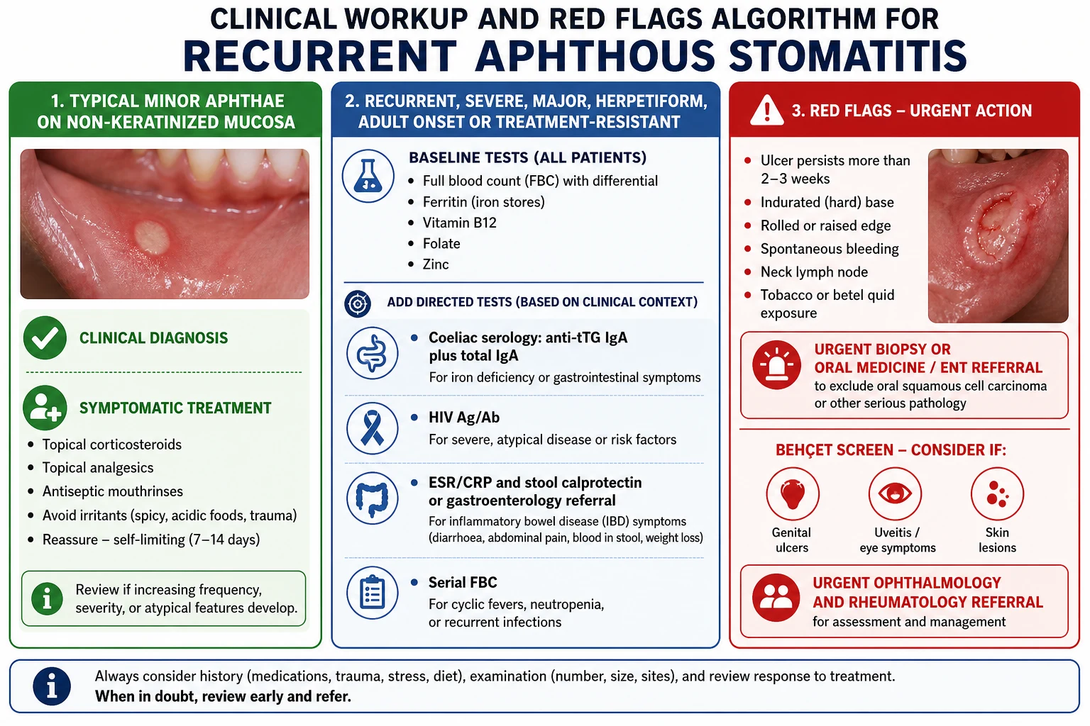 Diagnostic workup and red flags algorithm for recurrent aphthous stomatitis including FBC, ferritin, B12, folate, zinc, coeliac serology, HIV testing and biopsy referral triggers