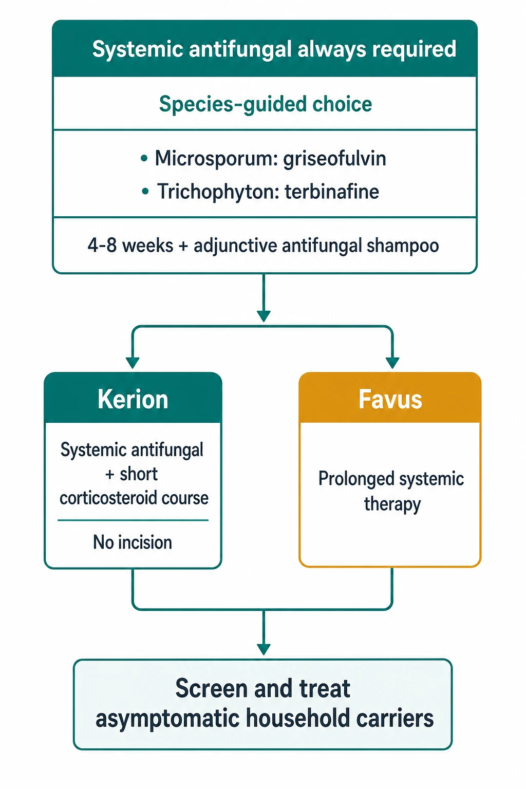 Apnoeic oxygenation with high-flow nasal oxygen educational illustration