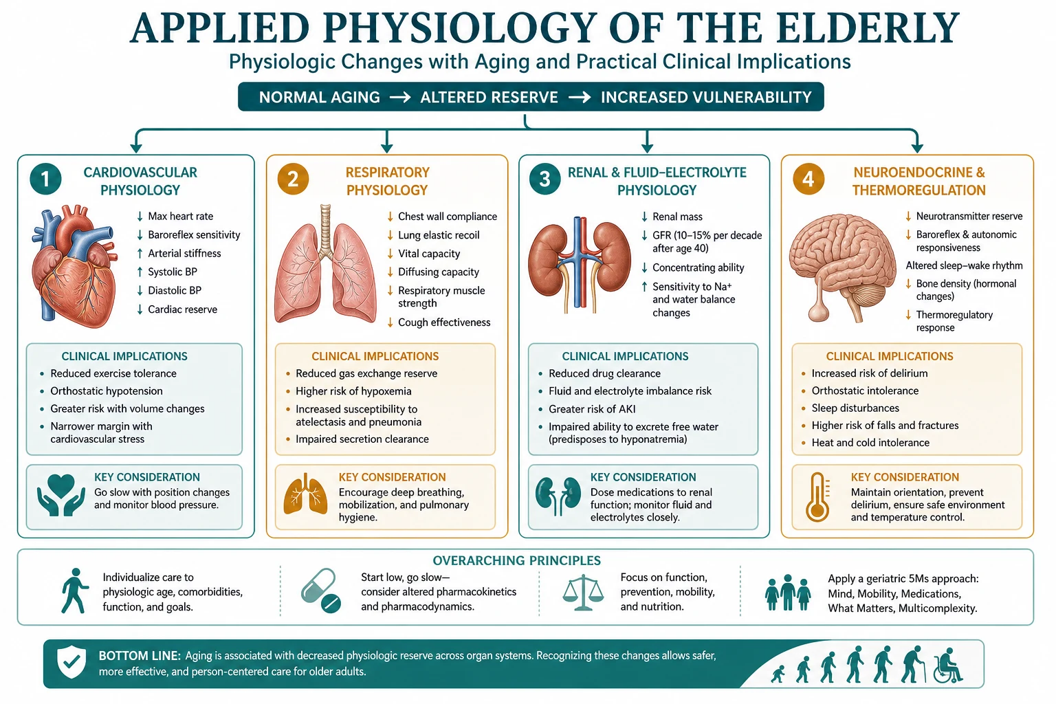 Classification of elderly anaesthetic risk physiology