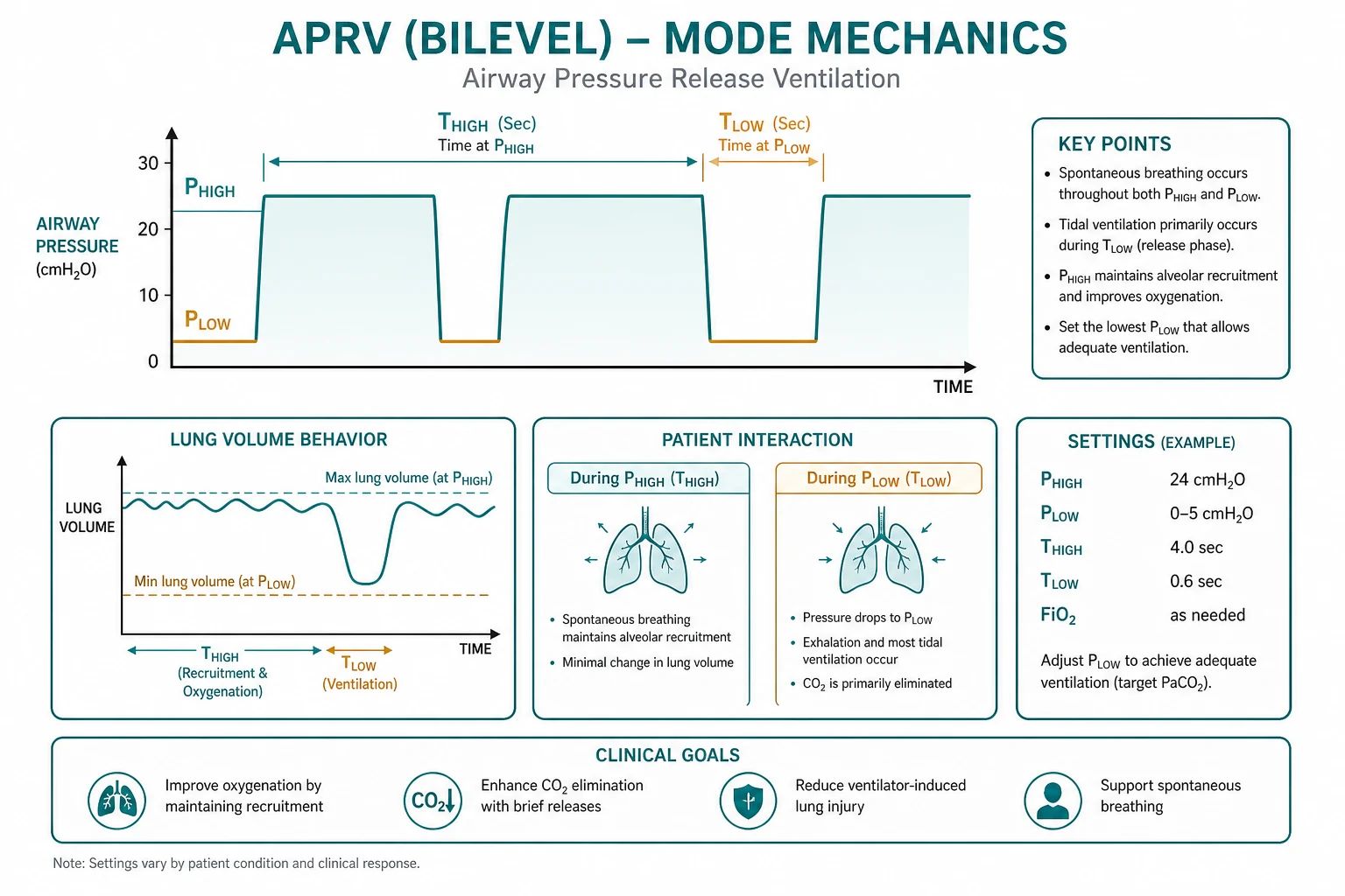 Infographic on a white clinical-blue background with a central pressure-time waveform showing a long high plateau (P-high) with brief releases to a low pressure (P-low), with spontaneous breaths drawn on both plateaus; labelled settings P-high 25-35 cmH2O, P-low 0-5, T-high long, T-low short; three bullets 'Open lung, high mean airway pressure', 'Spontaneous breathing throughout', 'Less sedation, better haemodynamics'. Flat vector illustration, crisp typography.
