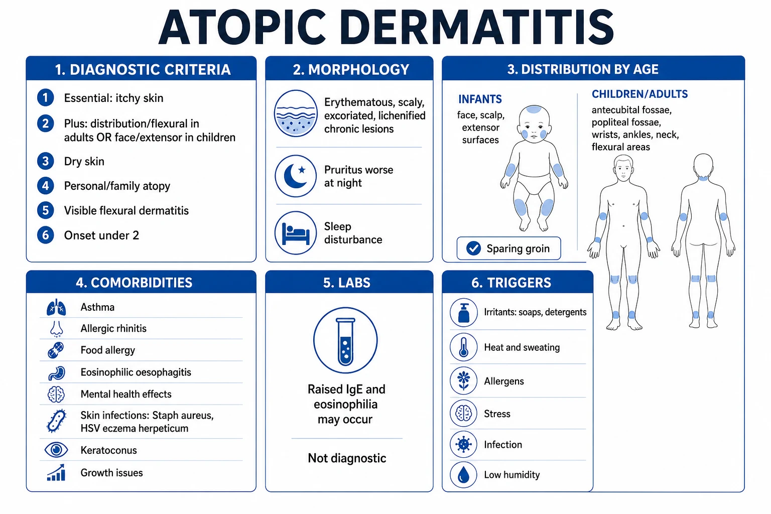 Morphological classification of eczema — acute, subacute, chronic and lichenified patterns