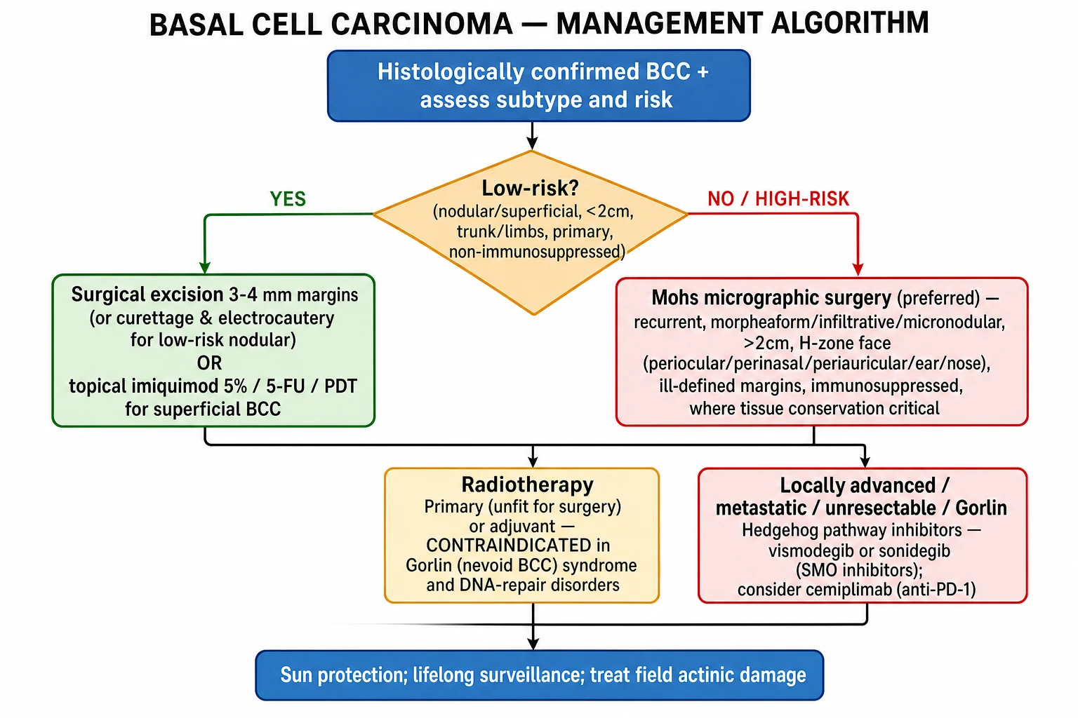 BCC management algorithm: excision or topical/PDT for low-risk, Mohs for high-risk, radiotherapy contraindicated in Gorlin, vismodegib/sonidegib for advanced