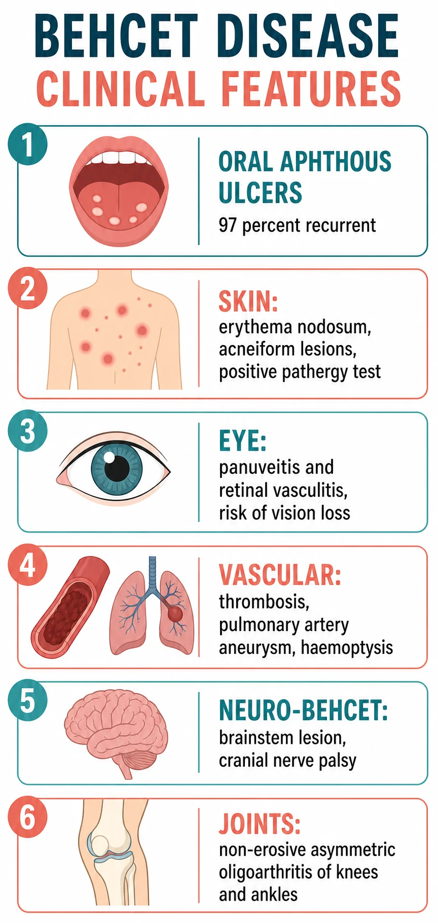 Clinical features of Behçet disease by system: oral aphthous ulcers 97%, skin (erythema nodosum, acneiform, pathergy), eye (panuveitis, retinal vasculitis), vascular (thrombosis, pulmonary artery aneurysm), neuro-Behçet, non-erosive oligoarthritis