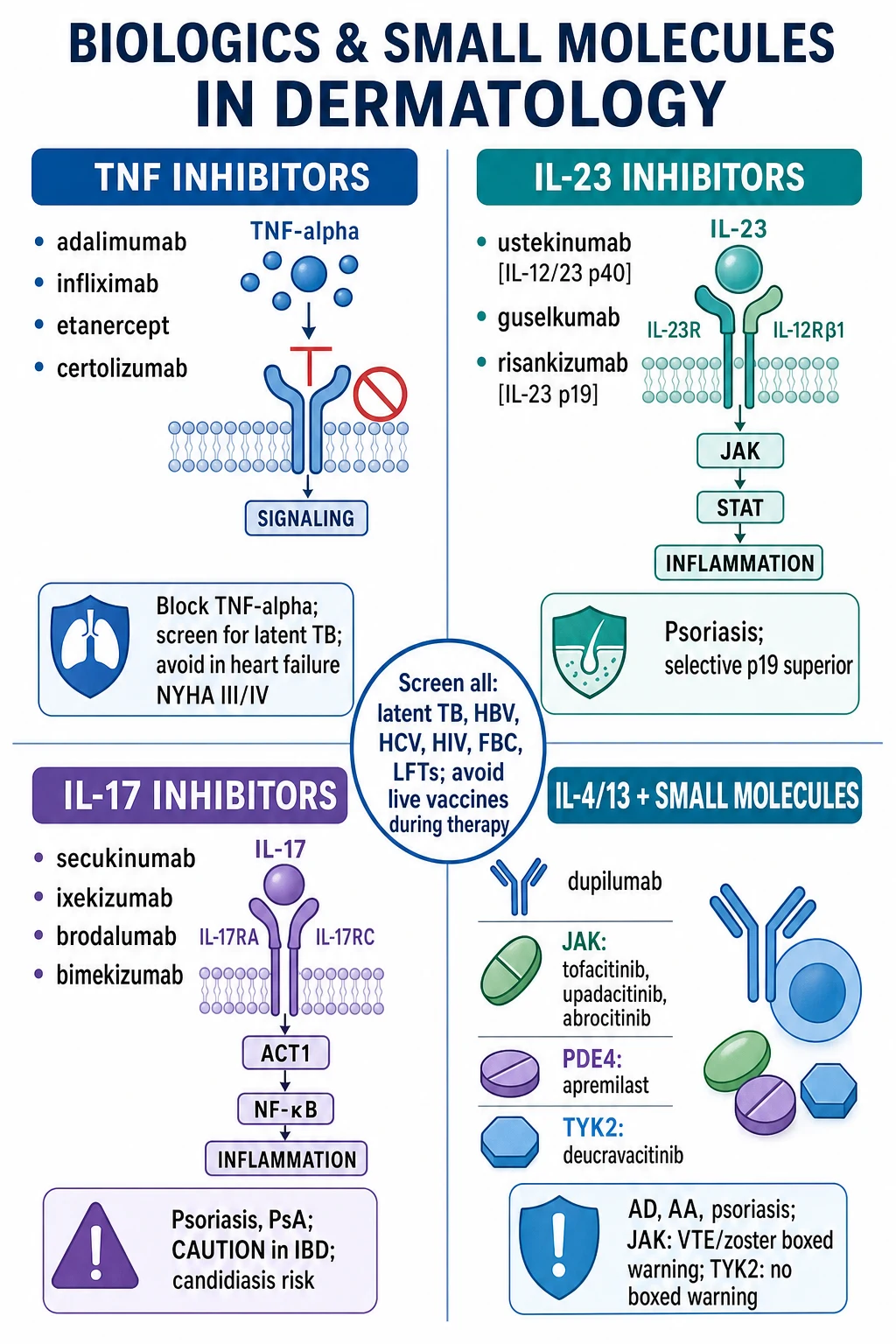 Overview infographic of the four major biologic/small-molecule classes: TNF inhibitors, IL-23 inhibitors, IL-17 inhibitors, IL-4/13 + JAK/PDE4/TYK2 small molecules