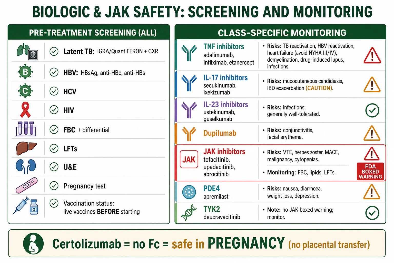 Two-column infographic: LEFT pre-treatment screening (latent TB IGRA+CXR, HBV/HCV/HIV serology, FBC, LFTs, U&E, pregnancy test, vaccines); RIGHT class-specific monitoring (TNF: TB/HBV/heart failure/demyelination; IL-17: candidiasis/IBD; dupilumab: conjunctivitis; JAK: VTE/zoster/MACE/malignancy boxed warning; certolizumab safe in pregnancy)