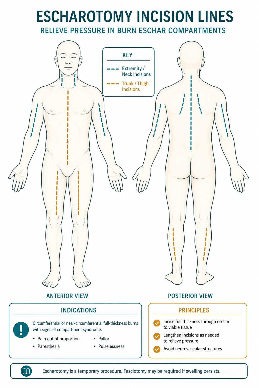 Body silhouette with three red markers on the lateral chest wall, lateral arm, and lateral leg, each connected by a dashed incision line, on a white clinical-blue background