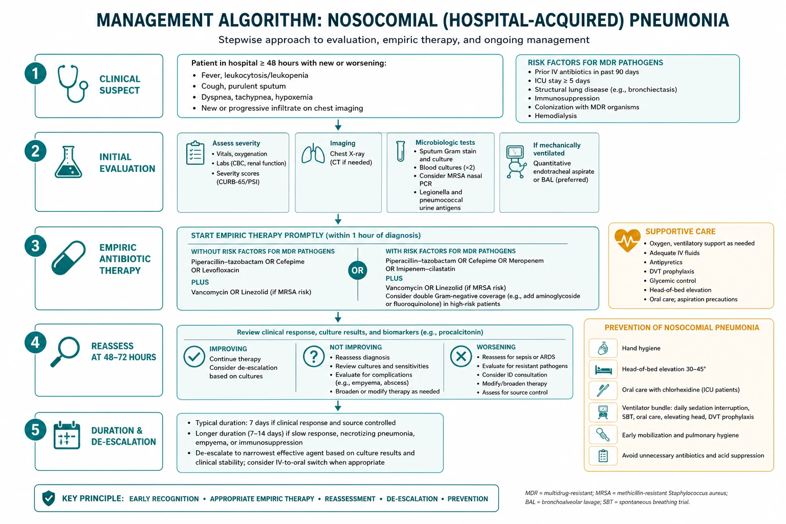 VAP diagnosis and antibiotic stewardship pathway in the ICU