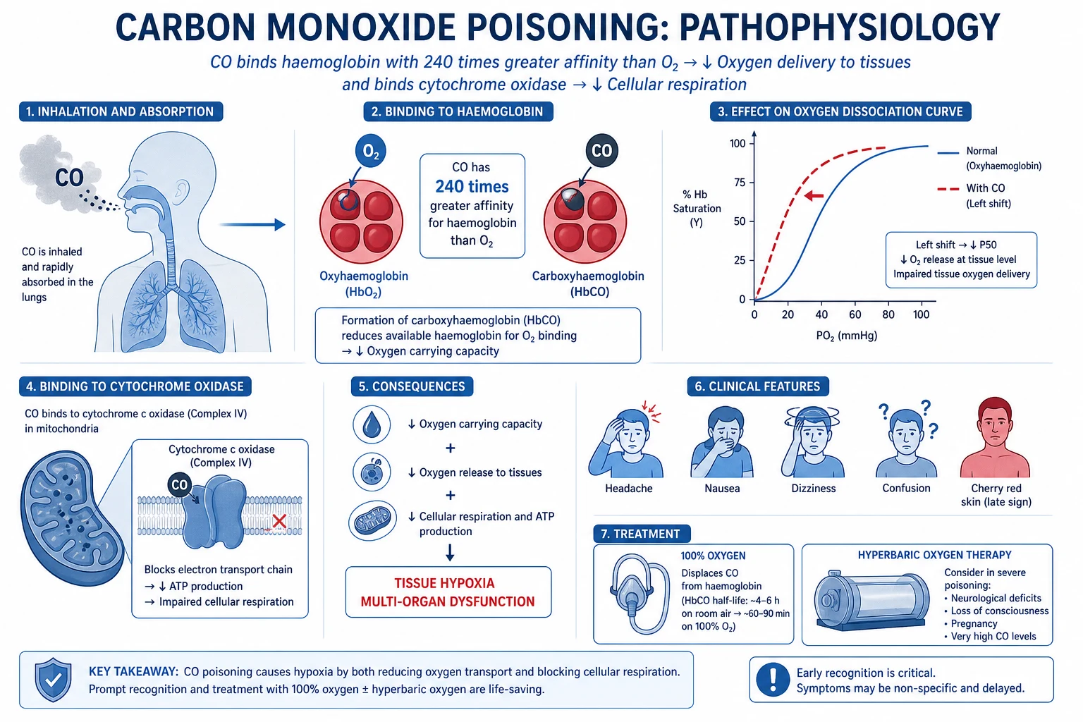 Pathophysiology of carbon monoxide poisoning comprehensive icu