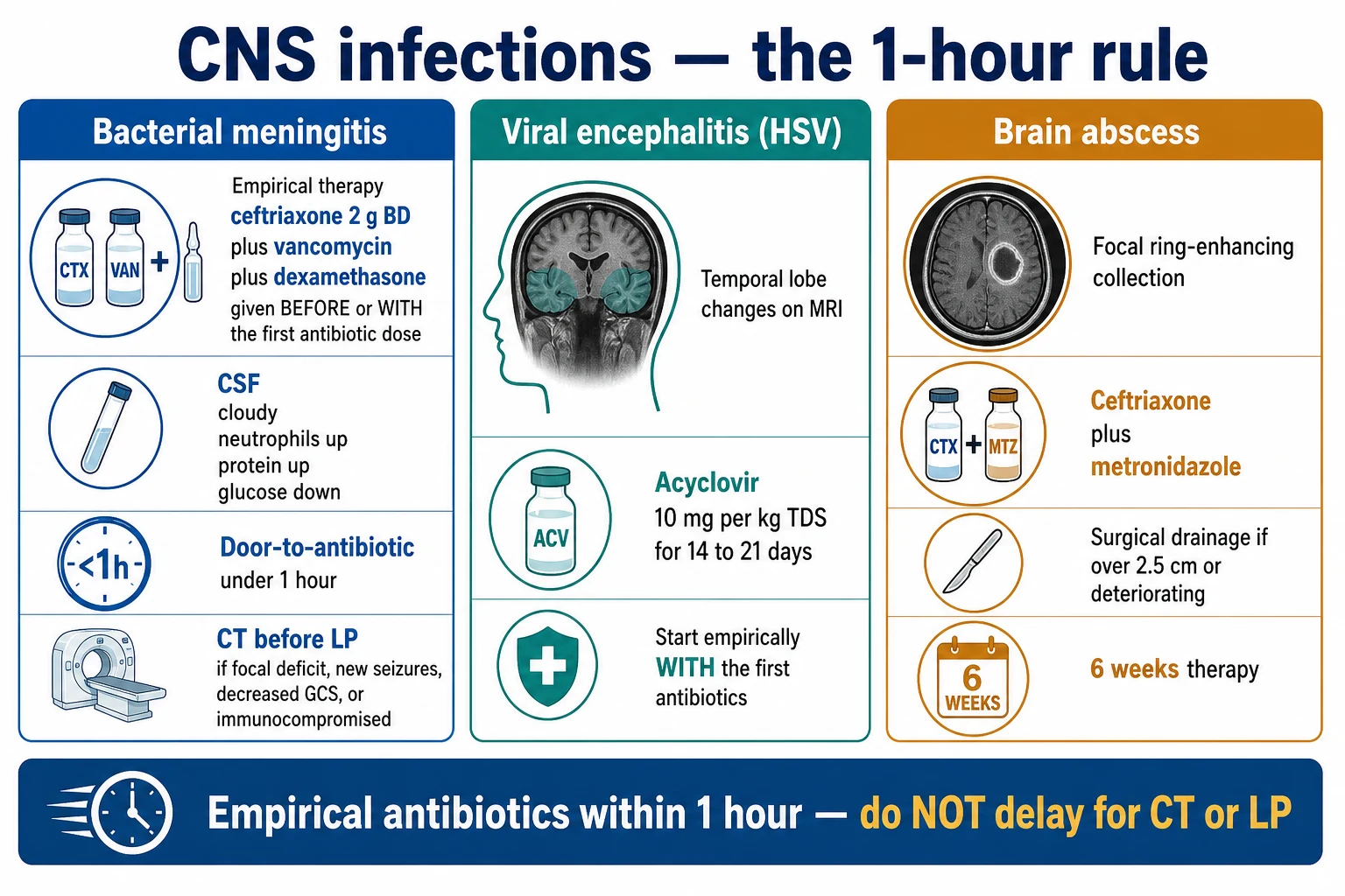 Three-panel infographic on a white clinical-blue background: LEFT bacterial meningitis (ceftriaxone 2 g BD plus vancomycin plus dexamethasone before/with first dose; CSF cloudy, neutrophils up, protein up, glucose down; door-to-antibiotic under 1 h; CT before LP if focal deficit, seizures, decreased GCS, immunocompromised); CENTRE viral encephalitis HSV (temporal lobe on MRI; acyclovir 10 mg/kg TDS 14-21 d; start empirically with first antibiotics); RIGHT brain abscess (ring-enhancing collection; ceftriaxone plus metronidazole; drain if over 2.5 cm; 6 weeks). Banner 'Empirical antibiotics within 1 h — do NOT delay for CT or LP'. Flat vector illustration, crisp typography.