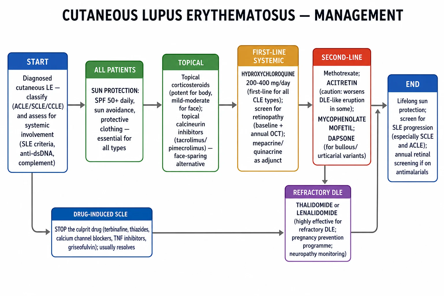 CLE management algorithm: sun protection + topical steroids first-line, hydroxychloroquine first-line systemic, methotrexate/mycophenolate/azathioprine second-line, biologics (belimumab/anifrolumab) for refractory SLE-associated CLE, thalidomide for refractory DLE, stop culprit drug for drug-induced SCLE