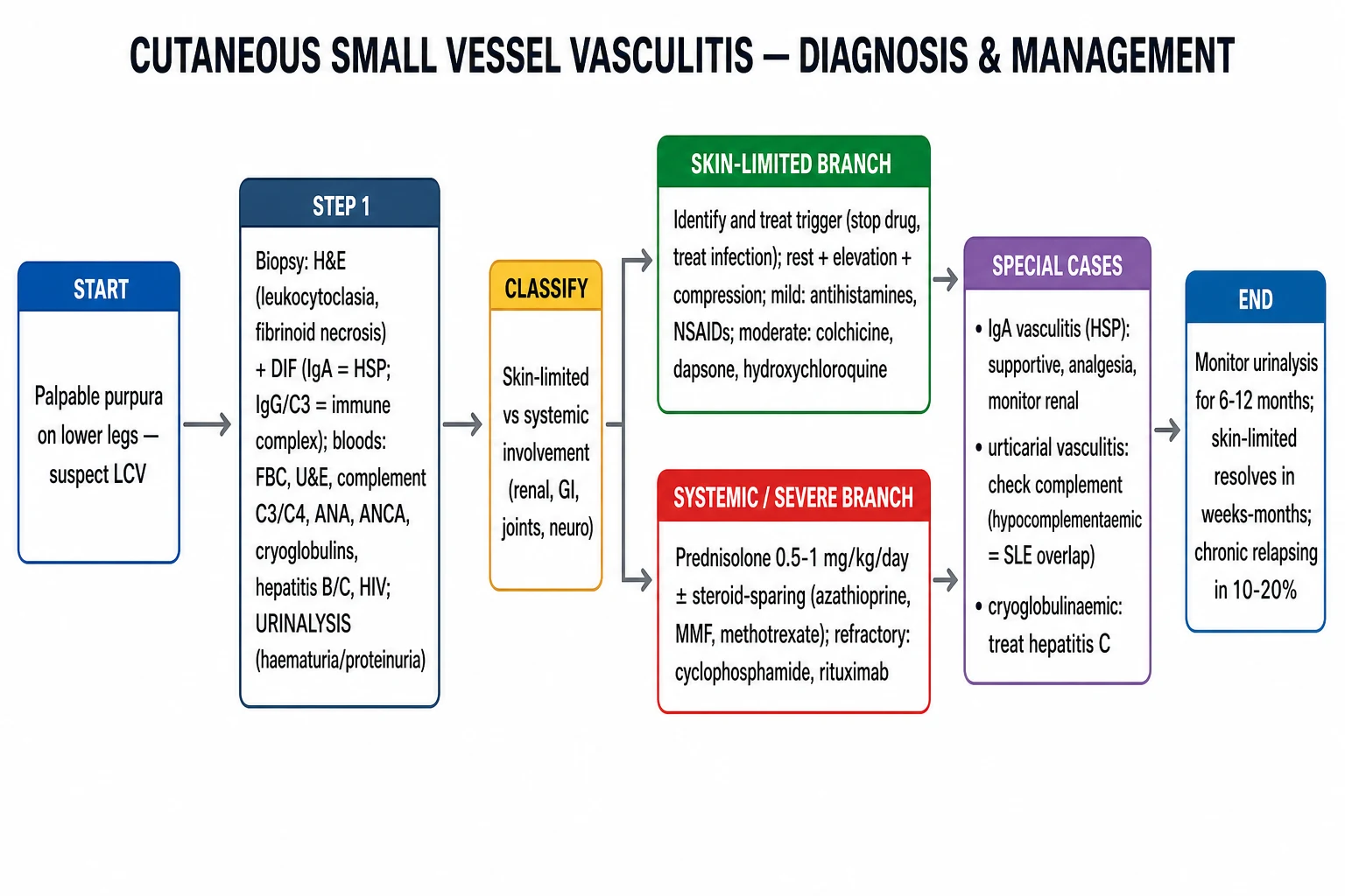 LCV management algorithm: biopsy + DIF + systemic work-up, identify and treat trigger, skin-limited (rest, colchicine, dapsone), systemic/severe (steroids, immunosuppressants)