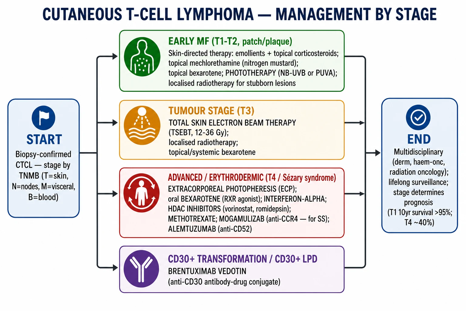 CTCL treatment algorithm: early MF (skin-directed: topical steroids, nitrogen mustard, bexarotene, phototherapy); tumour stage (TSEBT, radiotherapy); advanced / SS (ECP, bexarotene, interferon, HDAC inhibitors, mogamulizumab); CD30+ (brentuximab vedotin); refractory (transplant)