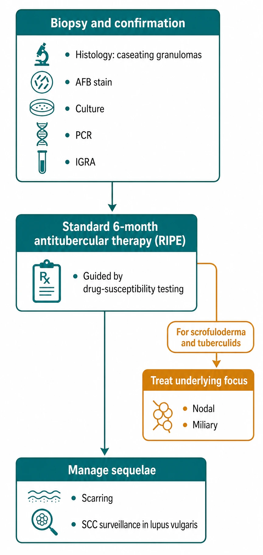 Treatment algorithm for cutaneous TB: biopsy and confirm, HIV test, chest imaging, start RIPE for 6 months, monitor LFTs vision uric acid, treat drug resistance with second-line agents, surgical debridement for scrofuloderma after medical control
