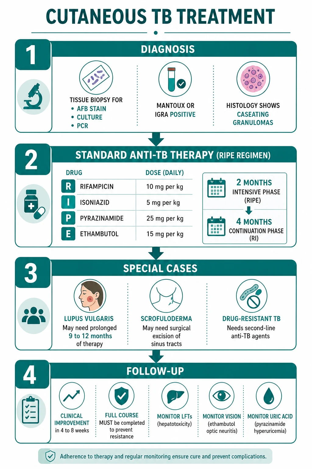 RIPE anti-TB regimen: rifampicin, isoniazid, pyrazinamide, ethambutol for 2 months intensive then rifampicin plus isoniazid for 4 months continuation, with monitoring of liver function, vision, and uric acid