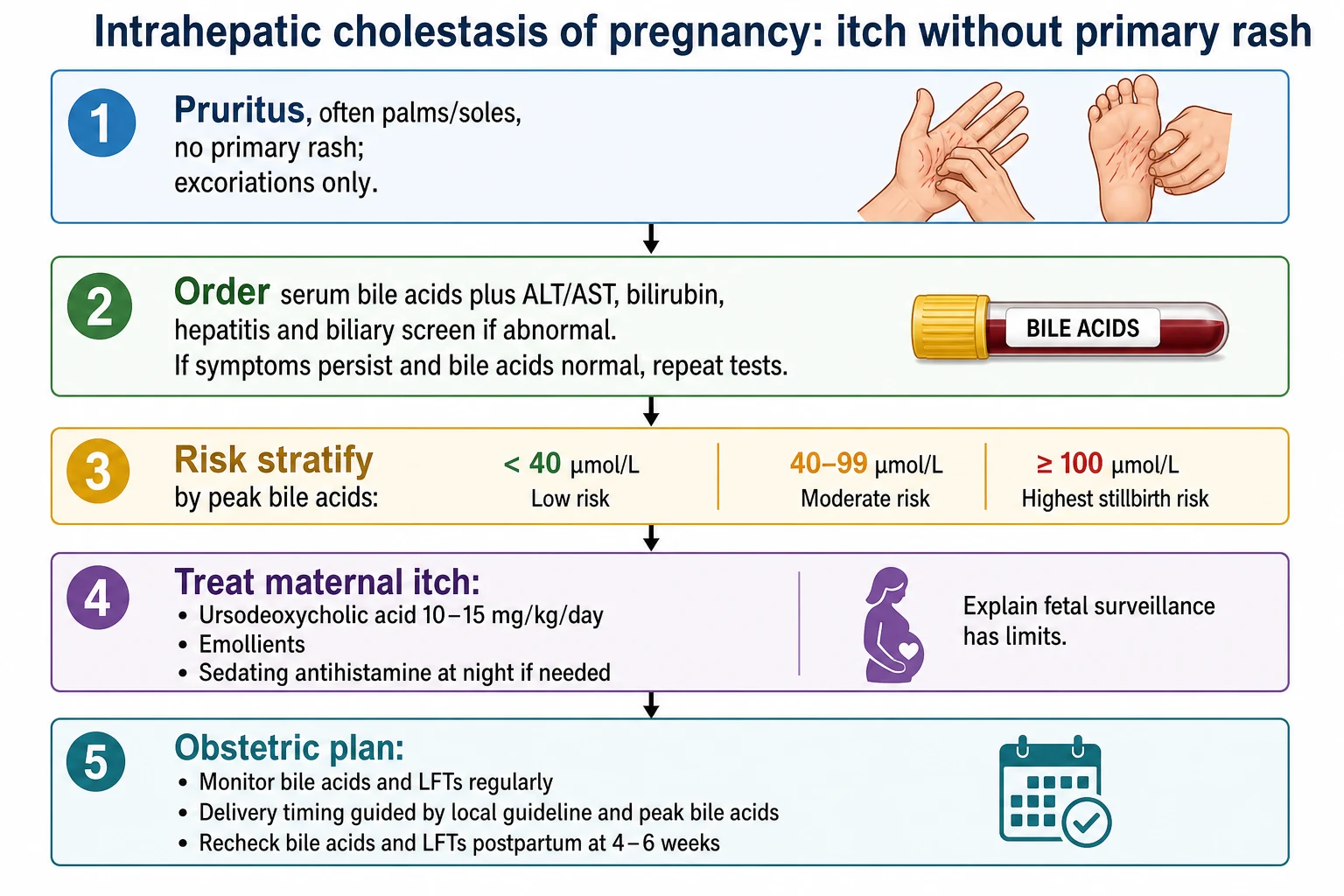 ICP algorithm: pruritus without primary rash, bile acids and LFTs, repeat testing, risk stratification, UDCA for itch and delivery planning