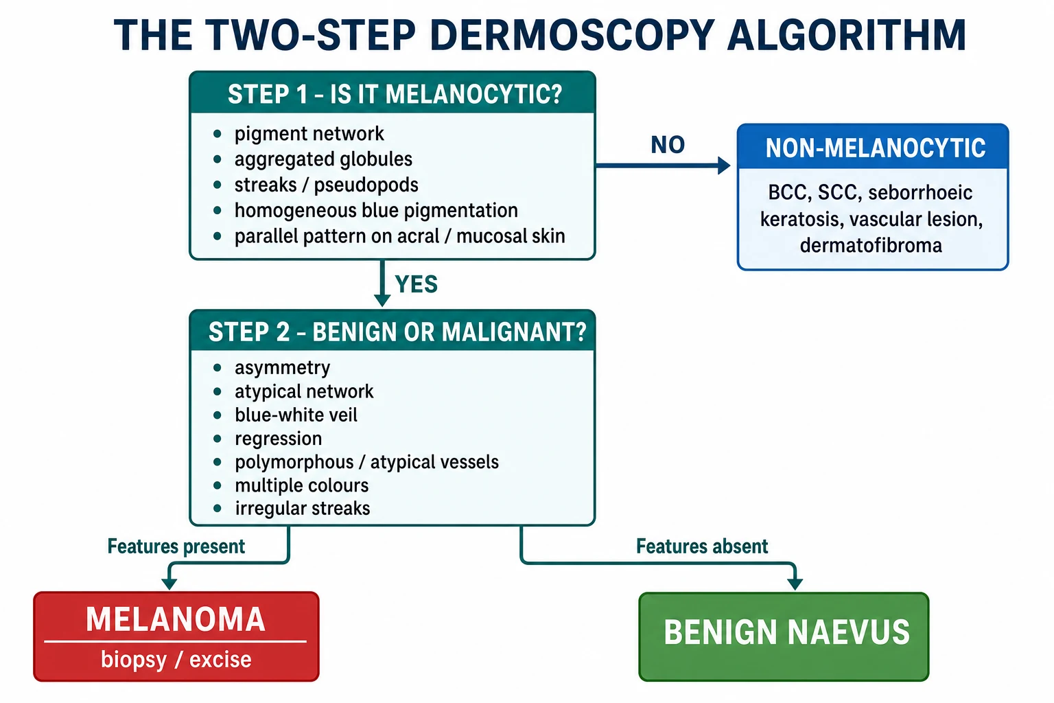 The two-step dermoscopy algorithm decision tree: Step 1 melanocytic vs non-melanocytic; Step 2 benign vs malignant