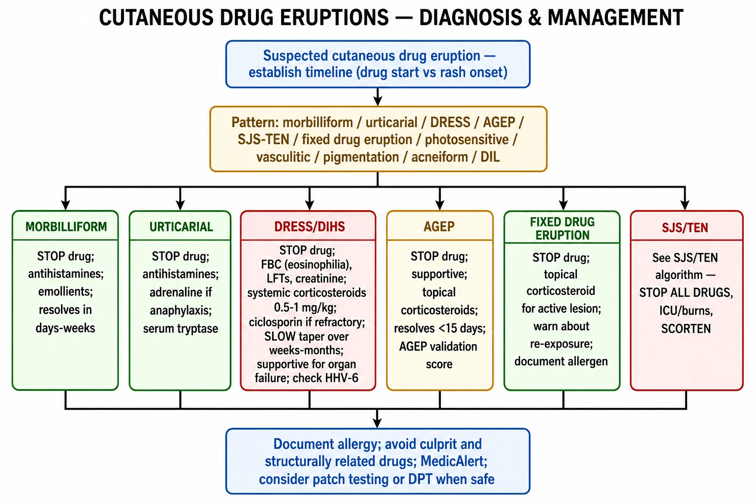 Drug eruption management algorithm: classify pattern, stop culprit drug, severity-driven management from antihistamines to systemic corticosteroids for DRESS, supportive for AGEP