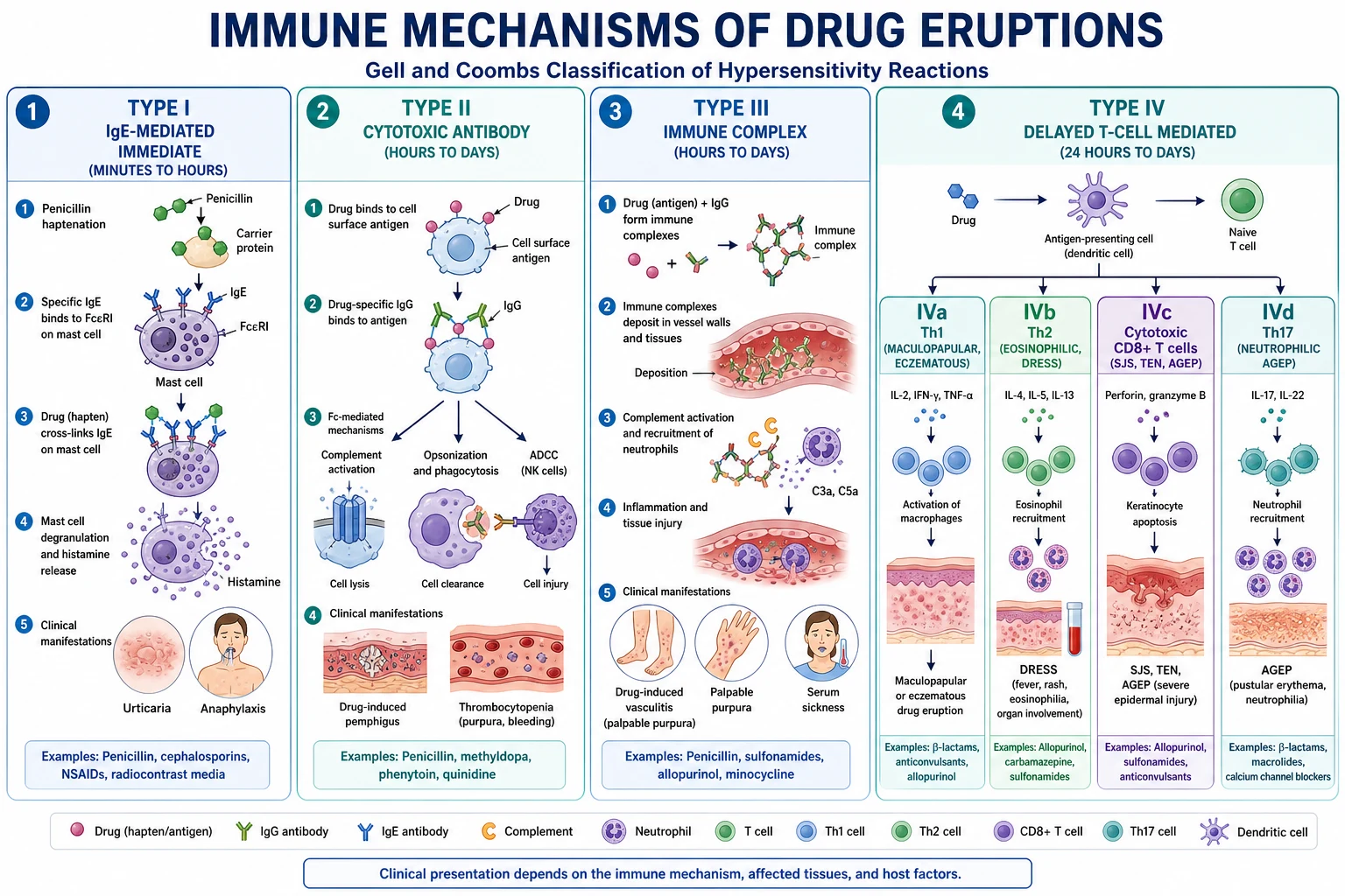 Nine-panel morphology atlas of drug eruptions: morbilliform maculopapular exanthem, urticarial wheals, fixed drug eruption, erythema multiforme target lesion, SJS/TEN with epidermal detachment and mucosal crusting, DRESS with morbilliform rash and facial oedema, AGEP with sterile pustules on erythematous base, phototoxicity sunburn-like on sun-exposed V of neck, acneiform monomorphic papules and pustules