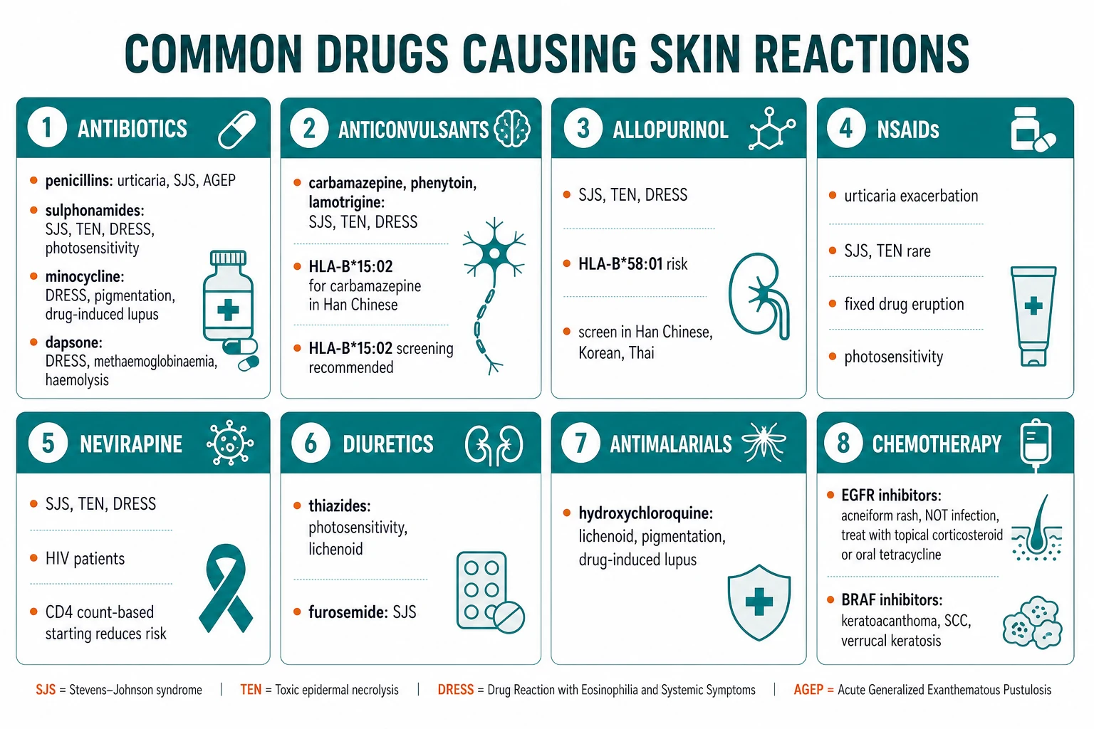 Common culprit drugs by reaction type: antibiotics (urticaria, SJS, AGEP), anticonvulsants (SJS/TEN, DRESS; HLA-B*15:02), allopurinol (SJS/TEN; HLA-B*58:01), NSAIDs (urticaria, fixed drug eruption), nevirapine (SJS), thiazides (photosensitivity, lichenoid), hydroxychloroquine (lichenoid, drug-induced lupus), minocycline (DRESS, pigment, drug-induced lupus), EGFR inhibitors (acneiform)