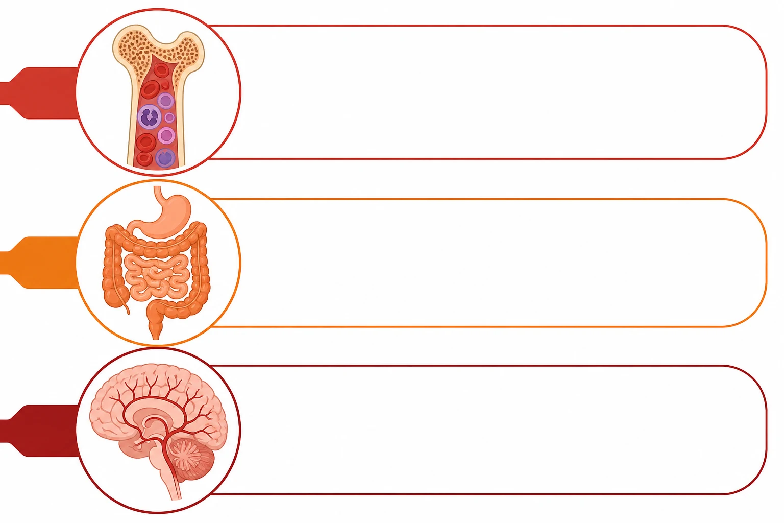 Acute radiation syndrome haematopoietic GI neurovascular dose thresholds