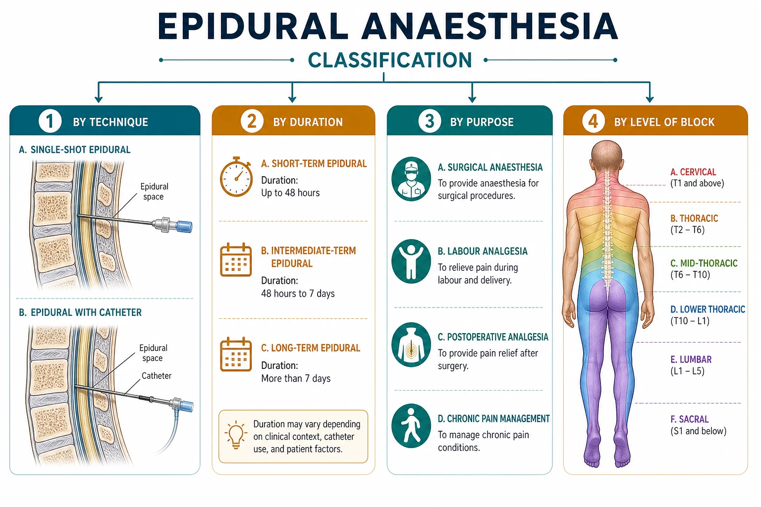 Epidural failure and complication map