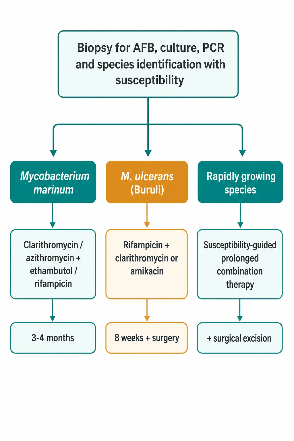 Epidural anaesthesia overview