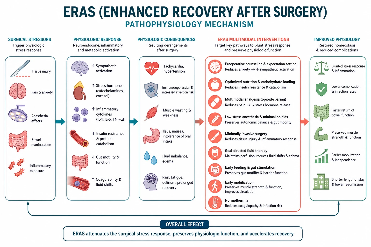 Surgical stress and ERAS mitigation