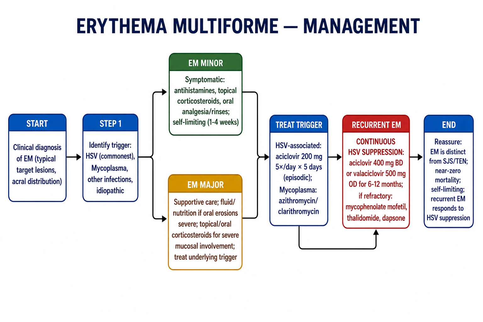 Stepwise EM management algorithm: identify trigger, treat HSV with aciclovir or Mycoplasma with macrolide, supportive care, and recurrent EM suppression