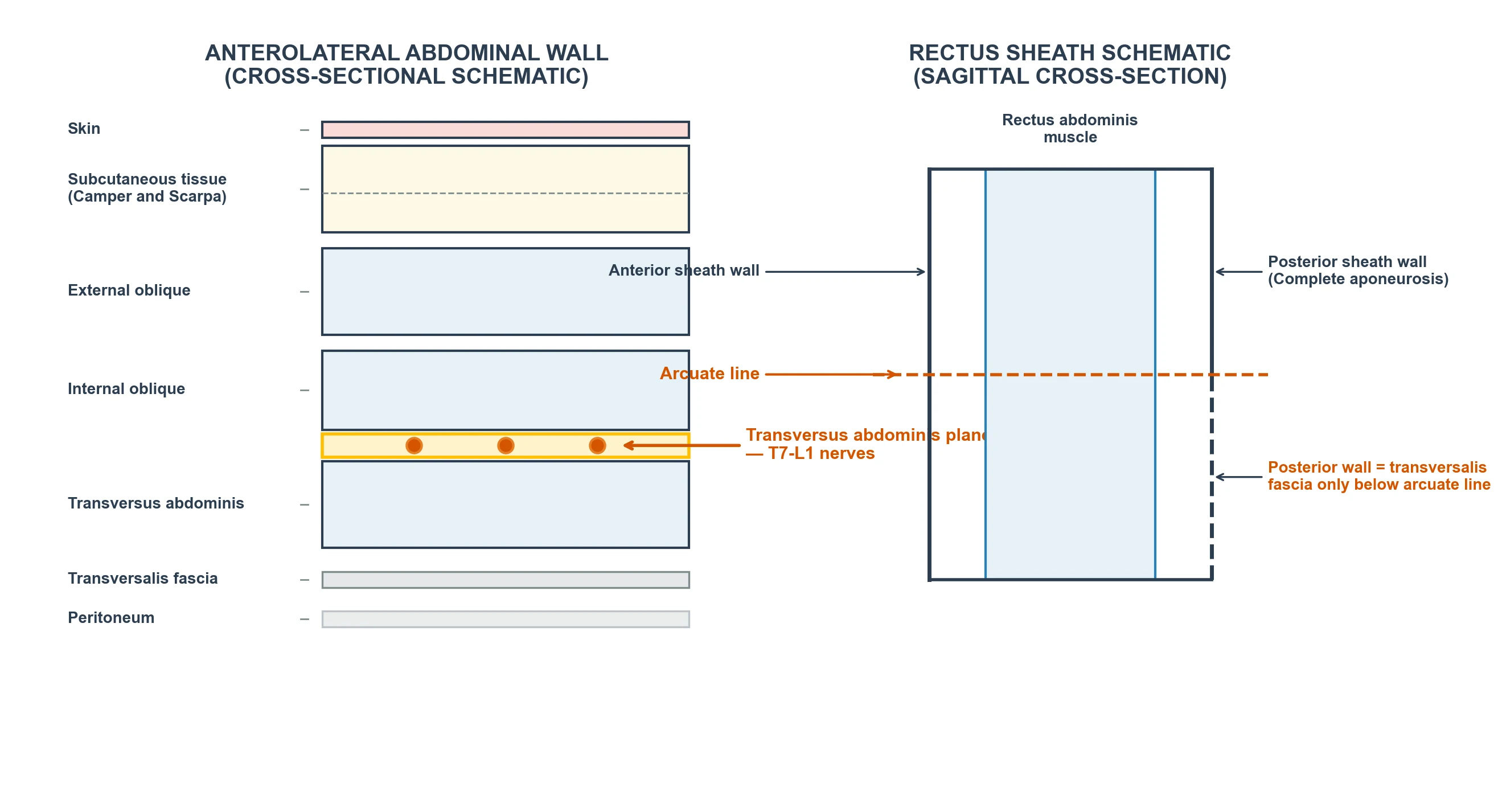 Fascial plane block management and LAST readiness pathway