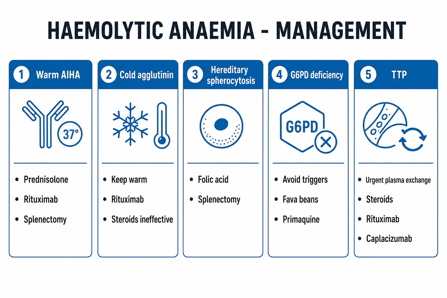 Clean management infographic with four columns: warm AIHA (prednisolone / rituximab / splenectomy), cold agglutinin (avoid cold / rituximab / sutimlimab), hereditary spherocytosis (folate / splenectomy with vaccination), G6PD (avoid triggers / supportive)