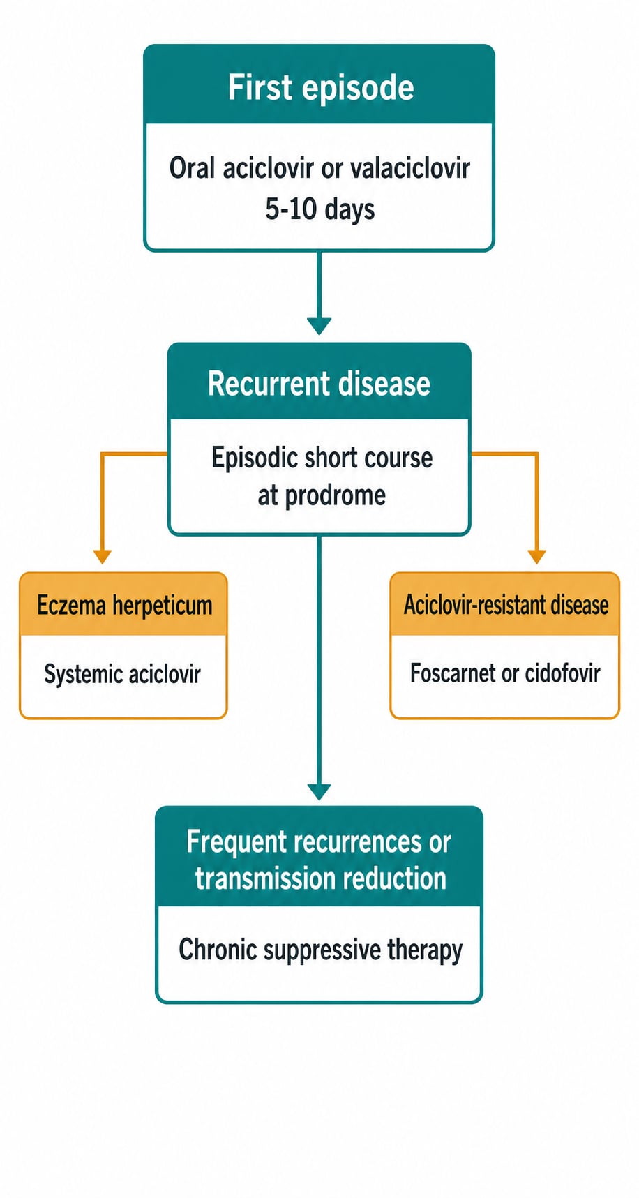 Herpes Simplex treatment-algorithm educational diagram